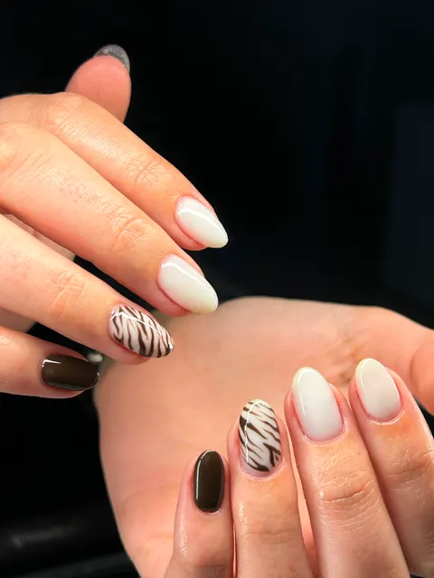 Zebra Accent